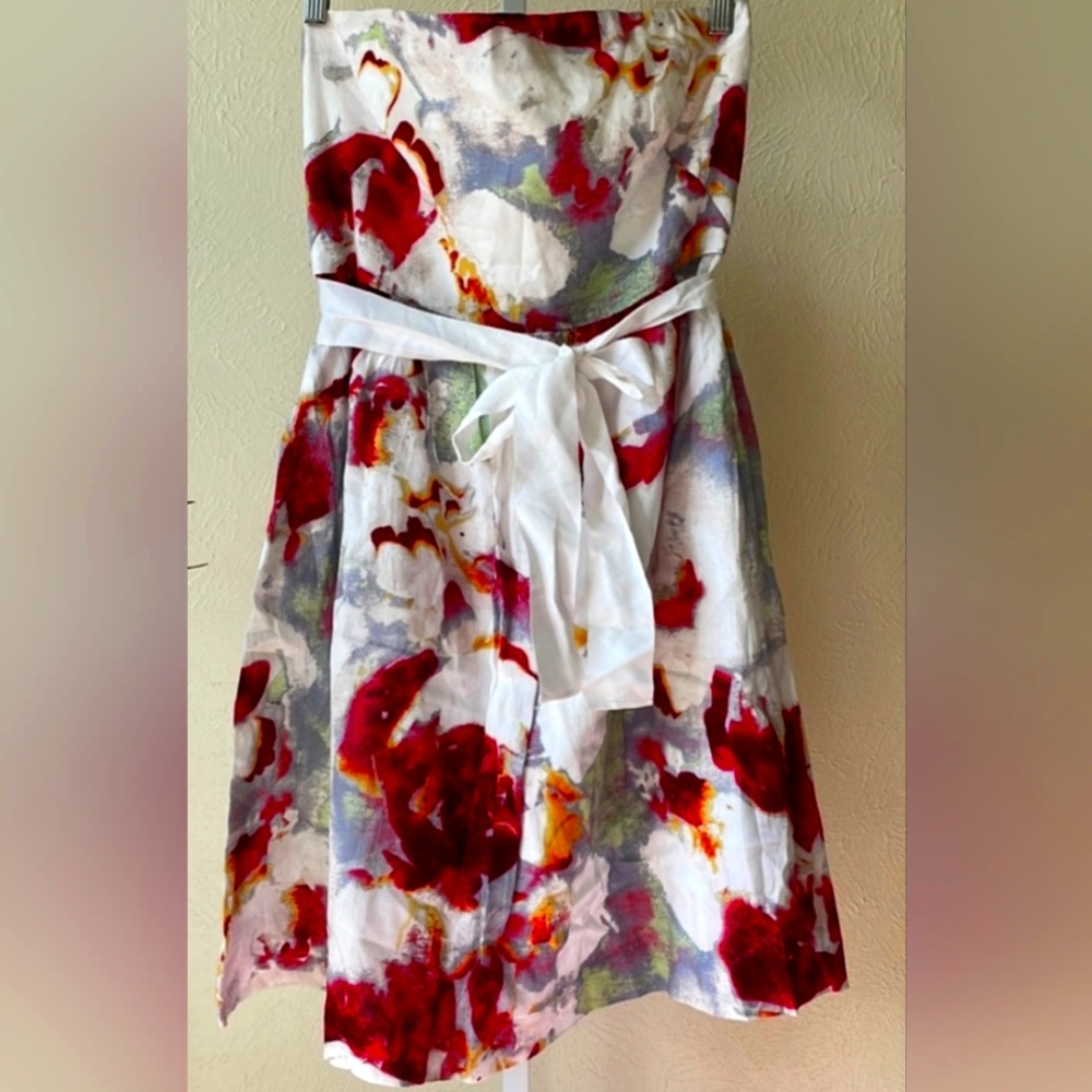 Banana Republic Floral Watercolor Strapless Dress